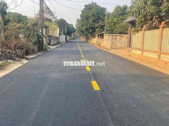 Bán đất thổ cư tại KCN Tam Dương, Vĩnh Phúc