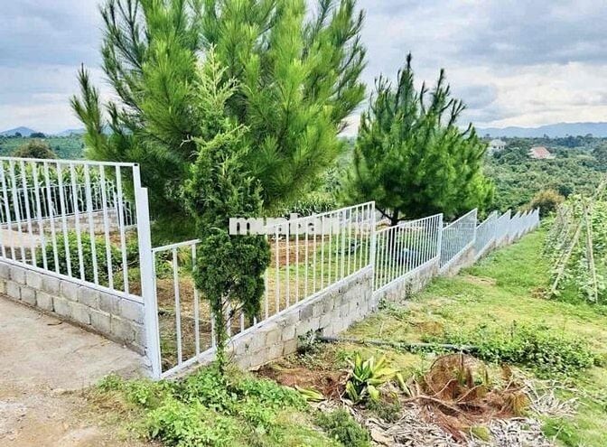 Cần tiền gấp bán lỗ lại lô 515m2 view đồi giá 600tr