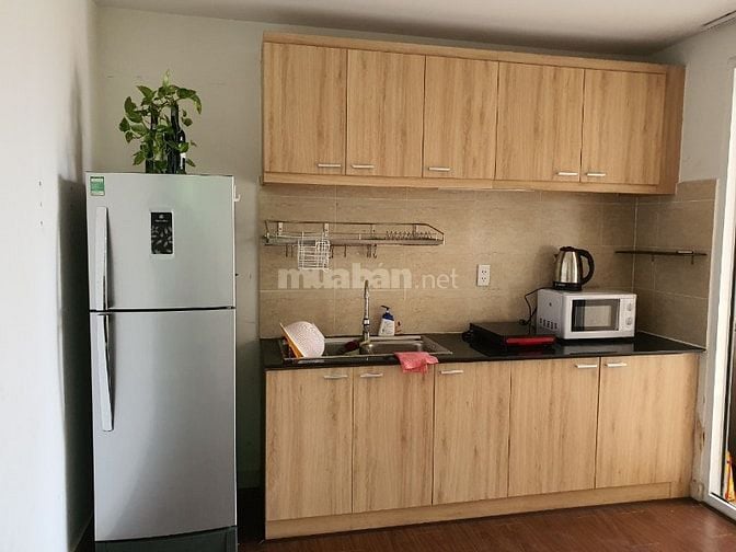 Bán căn hộ chung cư 207 Bùi Viện, Q1, 40m2, 1pn, 3.5 tỷ, có SH