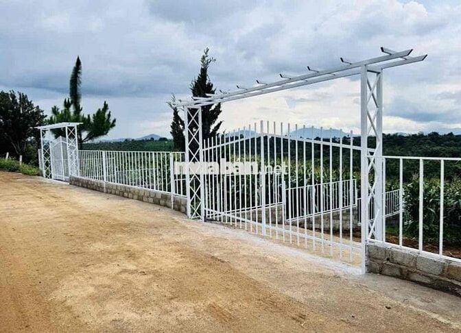 Cần tiền gấp bán lỗ lại lô 515m2 view đồi giá 600tr