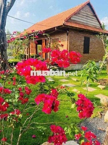 cần bán  căn nhà nghĩ dưỡng 2600m2 giá rẻ