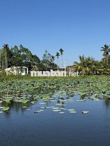 Cần tiền bán nhanh lô đất điện bàn đông- đà nẵng
