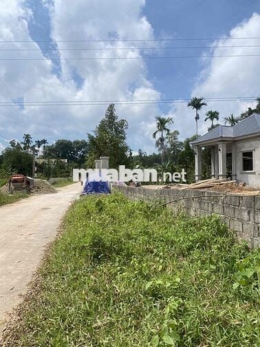 lô đất thổ cư sổ riêng thôn 5 hợp tiến triệu sơn