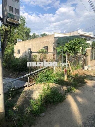 181m2 Hoà Châu đường nhựa7m khu vực KD vị trí đẹp