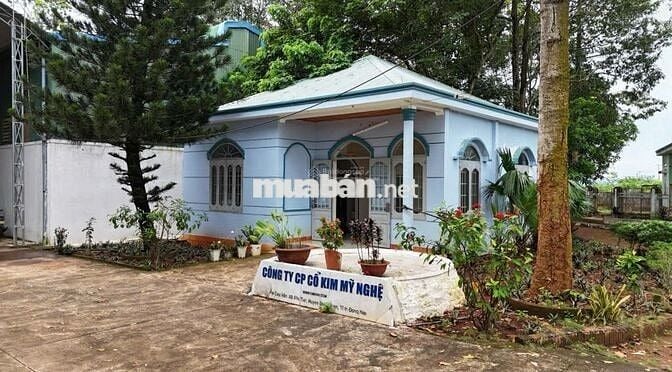 Chuyển nhượng nhà xưởng gắn liền với đất nhà nước cấp sổ.