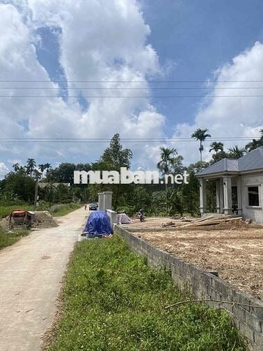 lô đất thổ cư sổ riêng thôn 5 hợp tiến triệu sơn