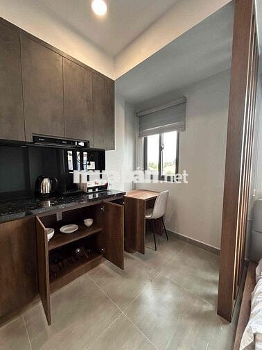 CĂN HỘ MINI THIẾT KẾ TÔNG GỖ SANG TRỌNG
