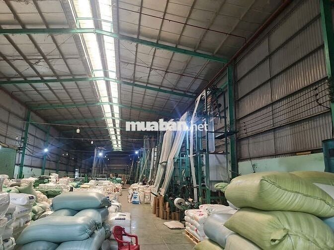 XƯỞNG ĐẸP 1700m² ĐỨC HÒA - PCCC TỰ ĐỘNG, ĐƯỜNG CONTAINER, CHỈ 100TR/TH