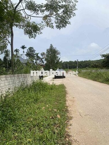 lô đất thổ cư sổ riêng thôn 5 hợp tiến triệu sơn