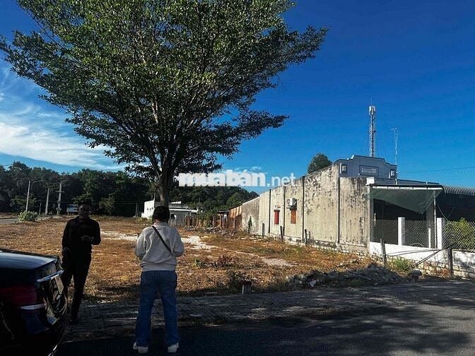 CHỦ VỪA GỬI LÔ ĐẤT NGAY ĐƯỜNG VEN BIỂN VŨNG TÀU BÌNH CHÂU CHỈ 1TỶ3