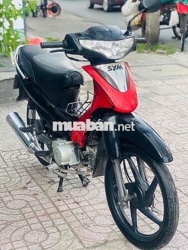 SYM angela trâu bò biển tp