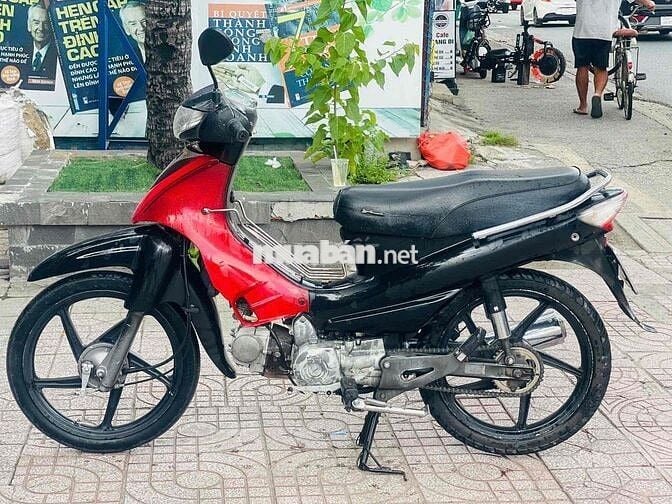 SYM angela trâu bò biển tp