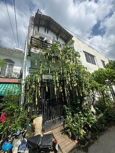 ⭐️Nhà 1 lầu hẻm Trương Đăng Quế, P1, Q.Gò Vấp, tiện KD sửa bán