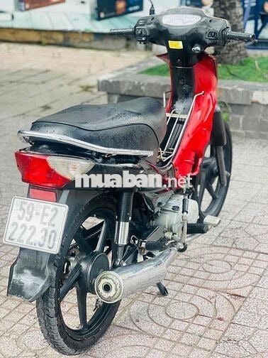 SYM angela trâu bò biển tp