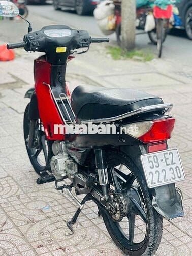 SYM angela trâu bò biển tp