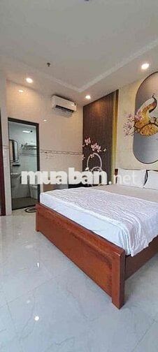 CĂN HỘ DỊCH VỤ TRUNG TÂM Q7 Lâm Văn Bền