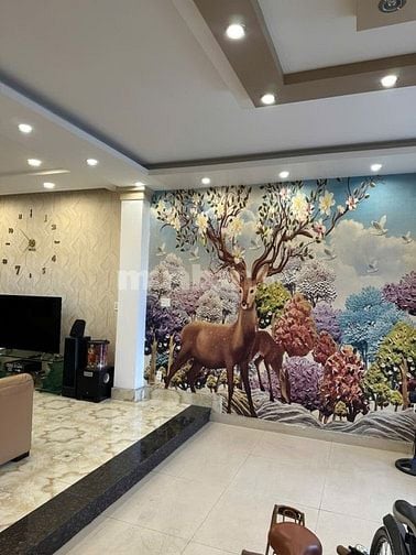 CẦN BÁN Biệt Thự Cao Cấp đường Trần Thị Ngôi F4Q8 