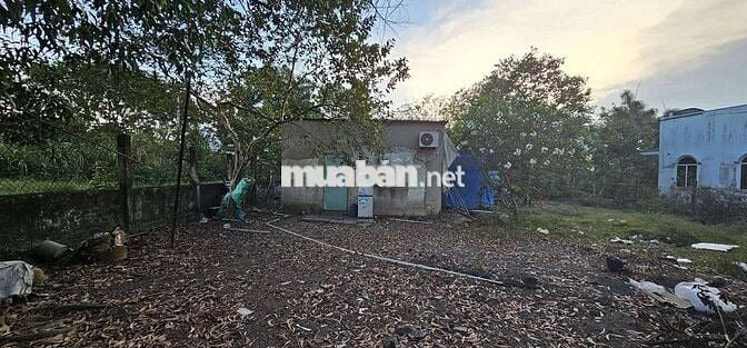 BÁN 820M2 ĐẤT MẶT TIỀN NGUYỄN ĐÌNH KIÊN , TÂN KIÊN, BÌNH CHÁNH