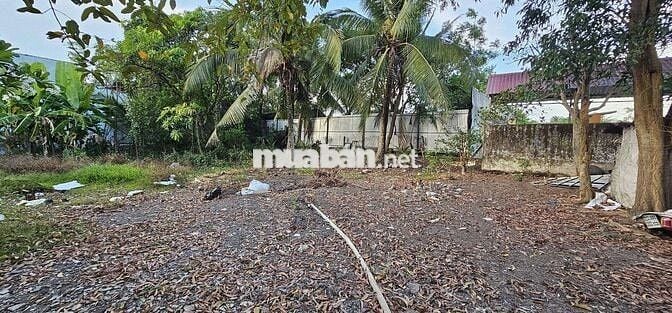 BÁN 820M2 ĐẤT MẶT TIỀN NGUYỄN ĐÌNH KIÊN , TÂN KIÊN, BÌNH CHÁNH