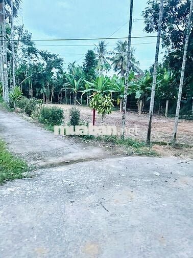 ĐẤT VƯỜN/NHÀ Ở VỊ TRÍ 2 MẶT TIỀN 330m2–THÔN DIÊU PHONG, BÀ NÀ, ĐÀ NẴNG