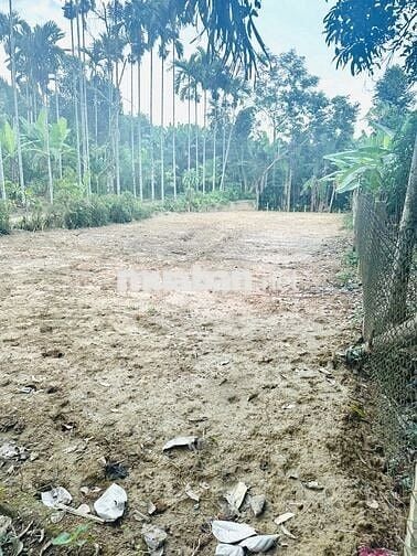 ĐẤT VƯỜN/NHÀ Ở VỊ TRÍ 2 MẶT TIỀN 330m2–THÔN DIÊU PHONG, BÀ NÀ, ĐÀ NẴNG