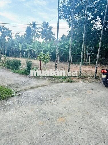 ĐẤT VƯỜN/NHÀ Ở VỊ TRÍ 2 MẶT TIỀN 330m2–THÔN DIÊU PHONG, BÀ NÀ, ĐÀ NẴNG