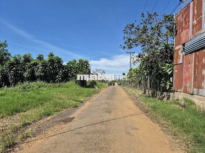 Đất ngộp giá rẻ đường 17 Lộc Quảng