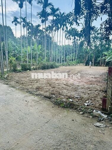 ĐẤT VƯỜN/NHÀ Ở VỊ TRÍ 2 MẶT TIỀN 330m2–THÔN DIÊU PHONG, BÀ NÀ, ĐÀ NẴNG