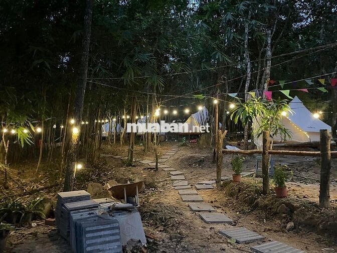 Siêu phẩm đất nghỉ dưỡng tại Định Quán – cơ hội không thể bỏ lỡ!