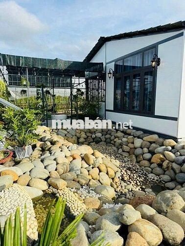 Siêu phẩm đất nghỉ dưỡng tại Định Quán – cơ hội không thể bỏ lỡ!