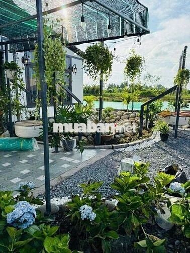 Siêu phẩm đất nghỉ dưỡng tại Định Quán – cơ hội không thể bỏ lỡ!