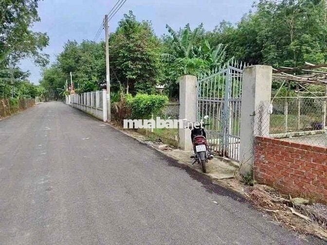 con gái cần tiền đi du học chủ cần bán gấp lo cho con đi học