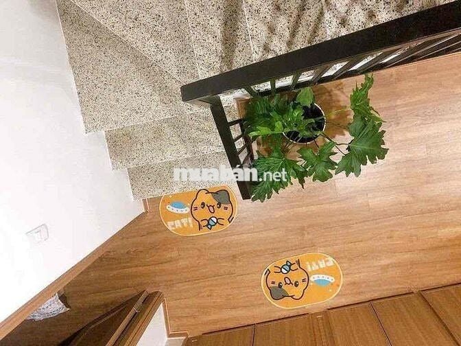 Cho thuê nhà riêng Trần Cao Vân, 40m2, 3PN