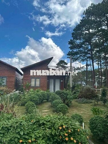 🔥Nóng 🔥 Chính chủ cần bán gấp lô đất 400m2 có sẵn căn nhà nghỉ duỡng