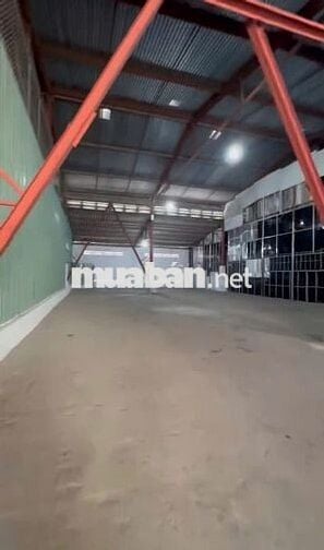 Cần cho thuê gấp kho diện tích 360m2 cao thoáng ở Nguyễn Văn Quỳ
