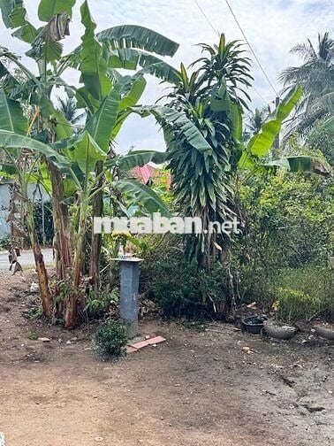 ĐẤT CHÍNH CHỦ CẦN BÁN GẤP 4.229 m2 TẠI LỤC SĨ THÀNH, TRÀ ÔN, VĨNH LONG