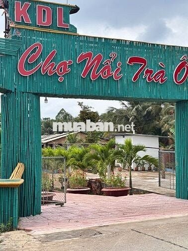 ĐẤT CHÍNH CHỦ CẦN BÁN GẤP 4.229 m2 TẠI LỤC SĨ THÀNH, TRÀ ÔN, VĨNH LONG