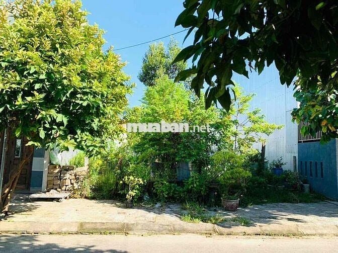 🌸🌺( BÁN GẤP) 98m2 đất MT Bắc Thượng 5, sạch đẹp, rẻ