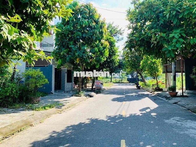 🌸🌺( BÁN GẤP) 98m2 đất MT Bắc Thượng 5, sạch đẹp, rẻ