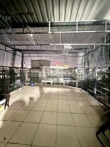 QUẬN 10 KẾ Q3, CHDV 8 TẦNG, THANG MÁY, 13PN DÒNG TIỀN 80TR/TH, 86M2.