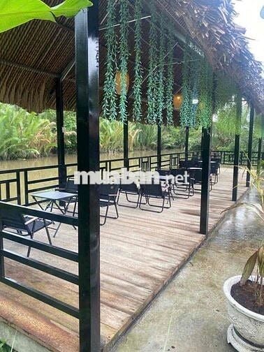 Bán đất bao gồm quán cafe và nhà ở