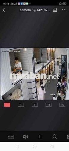 cho thuê nhà 3,5 tấng thích hợp làm cà phê homestay