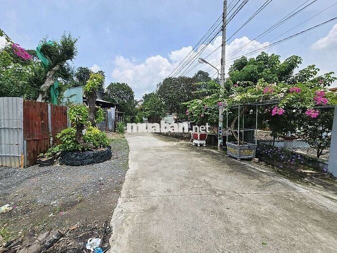Đất đẹp 144m gần chợ Tân Bình và ngã tư Chiêu Liêu p. Tân Bình Dĩ An