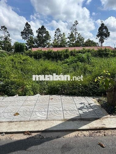 Đất nền đẹp thổ cư hết đất ODT