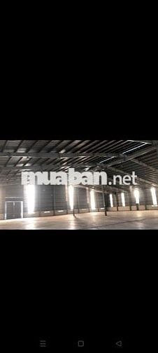 CHO THUÊ KHO BÃI 4.000m² – TRUNG TÂM TP. VŨNG TÀU 🚛