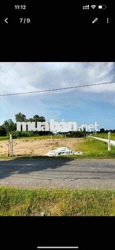 bán đất mt đập Bến Trể ,Tân Ân, Cần Đước ( Long An nay là Tây Ninh)