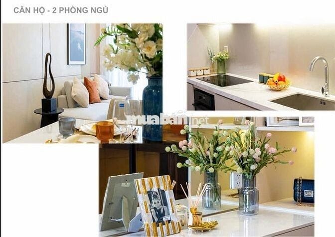 Căn hộ chung cư ngay trung tâm Thành Phố Thủ Dầu Một