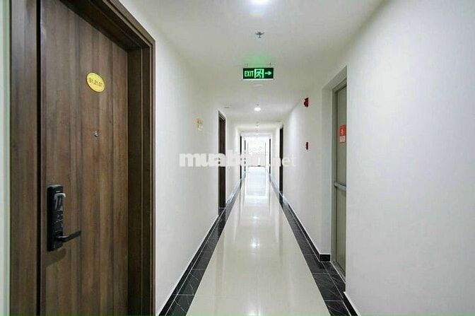 Cho thuê Studio Q7, Full nội thất đẹp: 35m2/7,8tr - hướng mát, căn góc