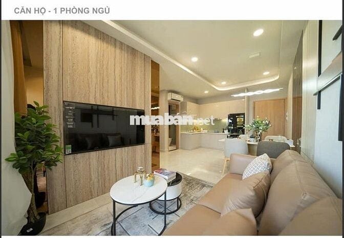 Căn hộ chung cư liền kề khu trung tâm hành chính tỉnh Bình Dương