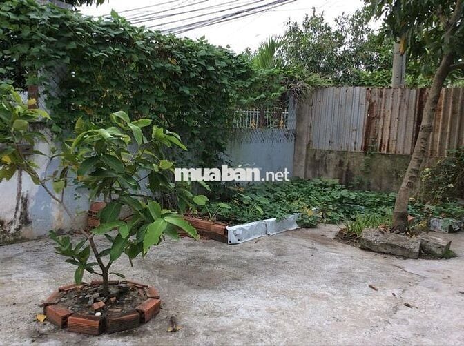 Nhà vườn rộng 200 m2 (5 x 40), gần RMIT / Phú Mỹ Hưng, TPHCM, chỉ 2,7T